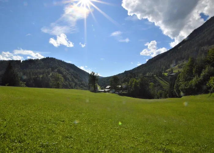 Bienenheim * Schladming